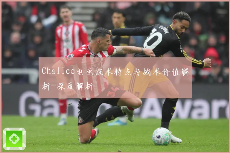 Chalice电竞技术特点与战术价值解析-深度解析